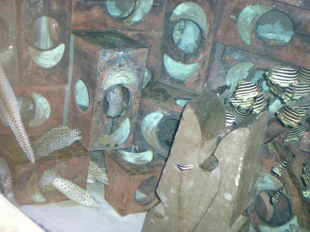 Stacks Image 1515
